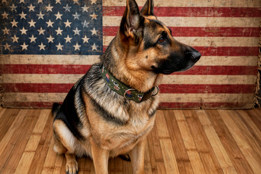 "US Veteran" Handmade Collar