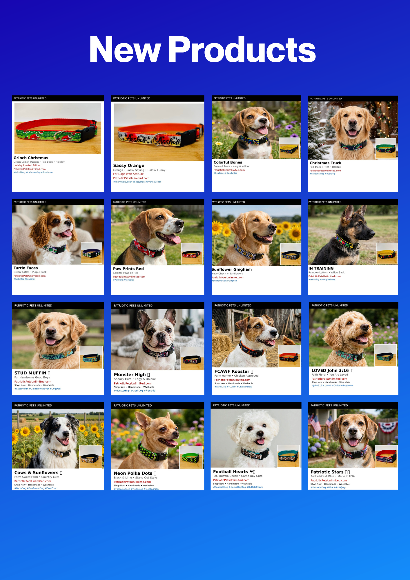 Stylish Collars and Leashes