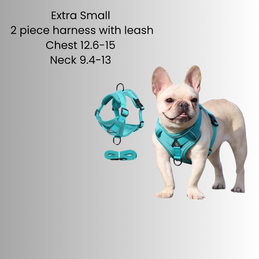 Extra Small 2 piece harness and collar combo