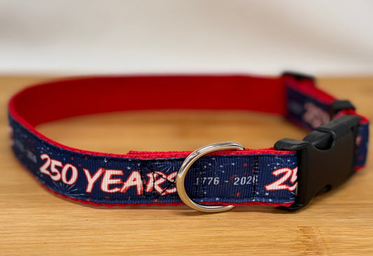 "America 250 Years" Handmade Collar