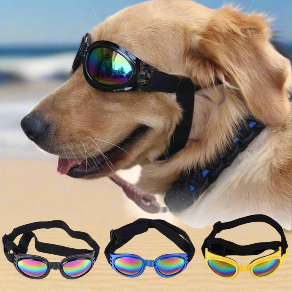Foldable UV Sunglasses