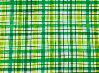 Green Plaid Snap On Bandana