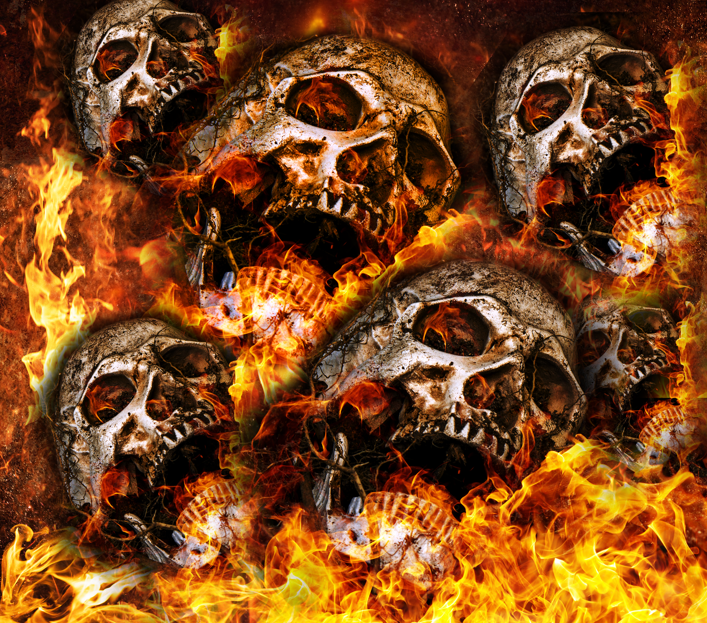 Skull flames Tumbler